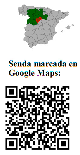 Ruta en Google Maps