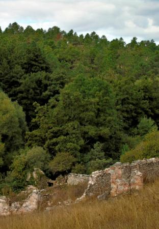 Imagen Senderismo Lastras de Cuéllar - Molinos